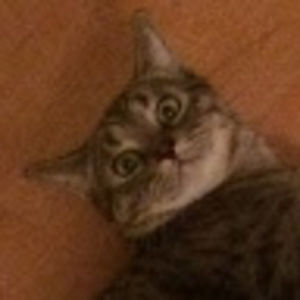 Meet your Posher, Lydia